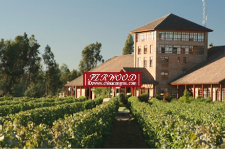 Firwood Chilean winery