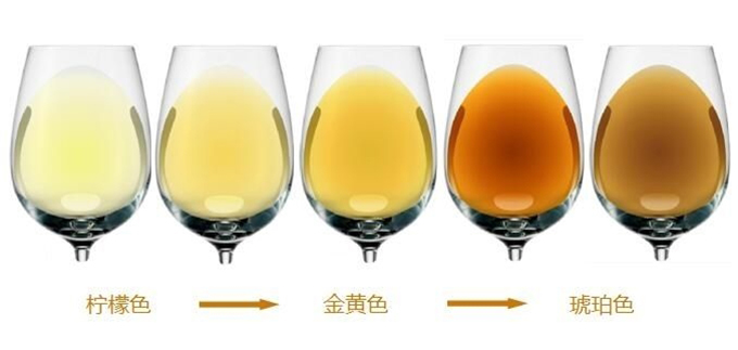 济南红酒招商|品鉴红酒如何望、闻、问、切？