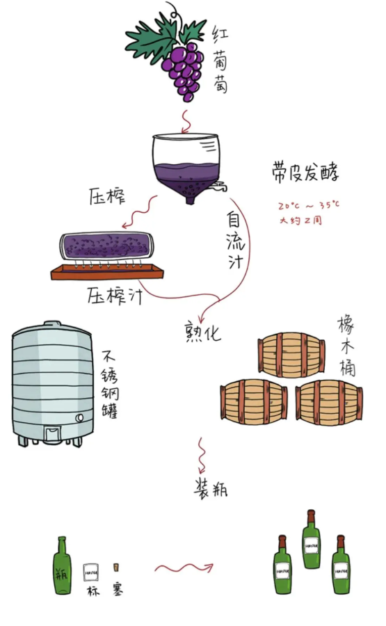 淄博红酒加盟 | 红葡萄酒与白葡萄酒都有哪些区别