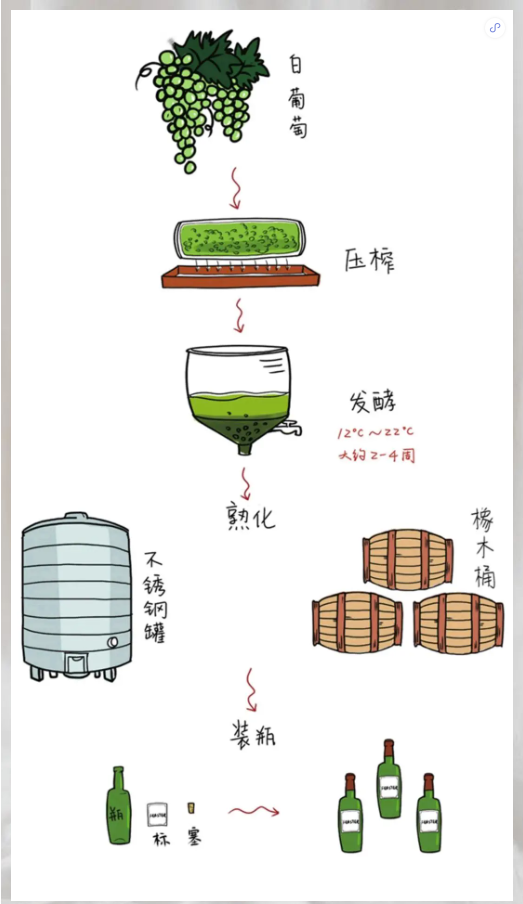 淄博红酒加盟 | 红葡萄酒与白葡萄酒都有哪些区别