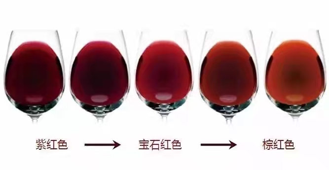 为什么陈年的红葡萄酒颜色越来越浅，白葡萄酒颜色却越来越深?