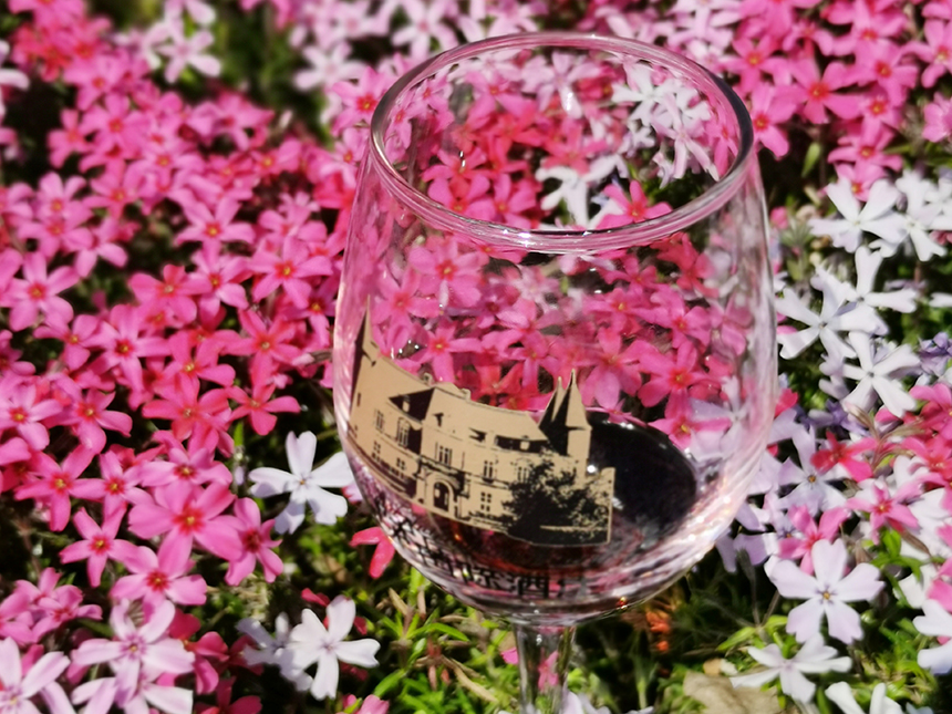 枞木国际酒庄丨多少粒葡萄可以酿制成一瓶葡萄酒呢